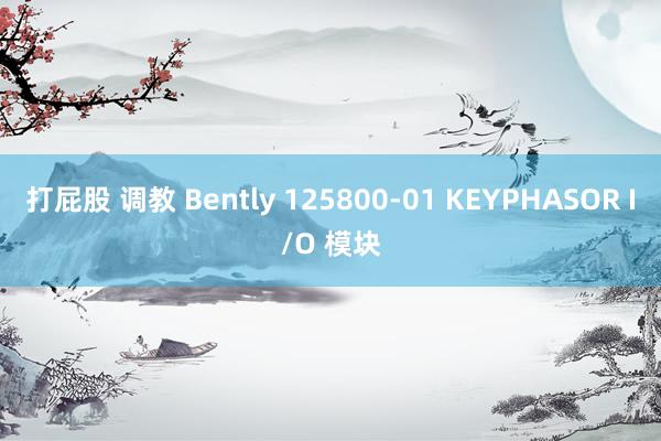 打屁股 调教 Bently 125800-01 KEYPHASOR I/O 模块