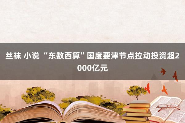 丝袜 小说 “东数西算”国度要津节点拉动投资超2000亿元