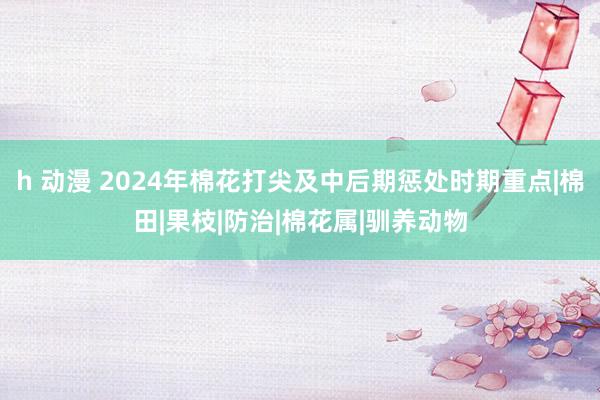 h 动漫 2024年棉花打尖及中后期惩处时期重点|棉田|果枝|防治|棉花属|驯养动物